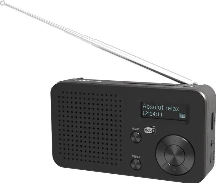 Telestar TOP 100 sw portables Radio DAB+/UKW,Bluetooth,USB,Akku (FM, DAB+, Bluetooth, WLAN)