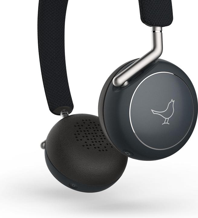 Actual product image Libratone Q Adapt (ANC, 20 h, Cable)