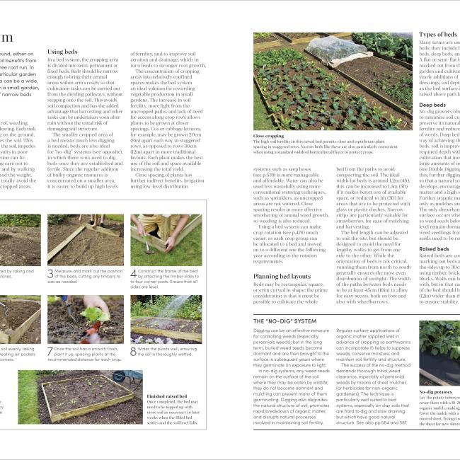 Produktbild RHS Encyclopedia of Gardening New Edition (Englisch, Guy Barter, Christopher Brickell, DK, 2022)