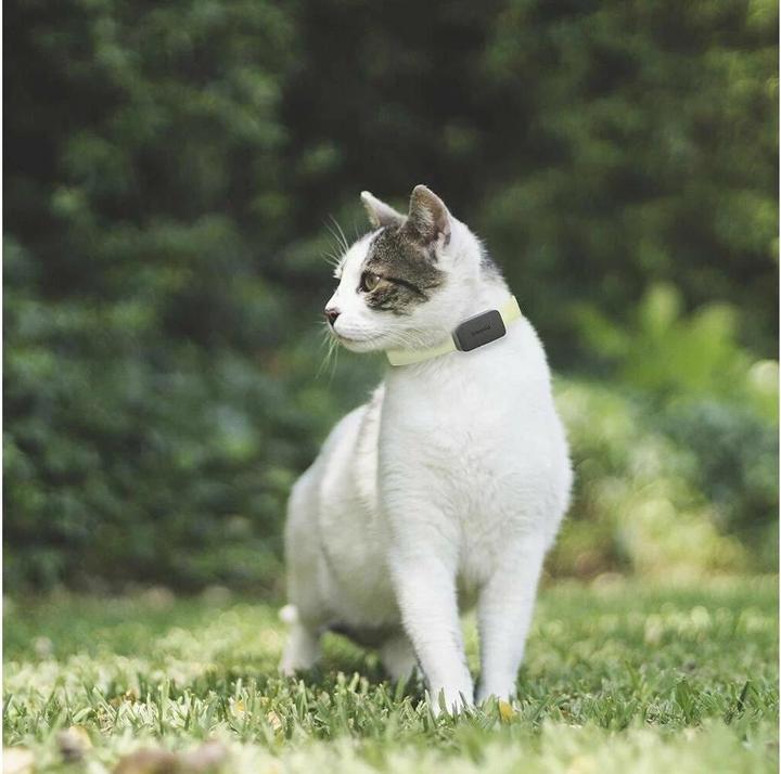 Actual product image Invoxia Pet GPS Tracker (Dog, Cat, General)