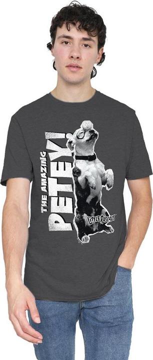 Immagine prodotto The Little Rascals Amazing Petey Maglietta Adulto Unisex (L)