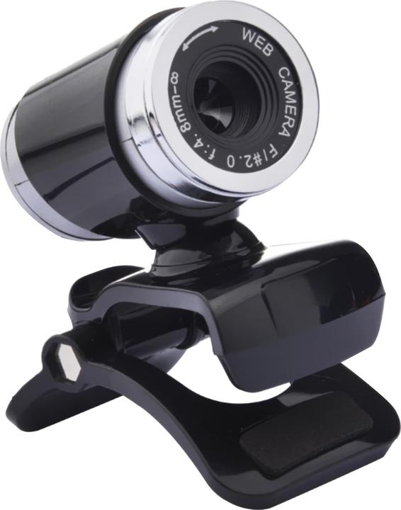 Vakoss WS-3355 VGA webcam with microphone (0.30 Mpx)
