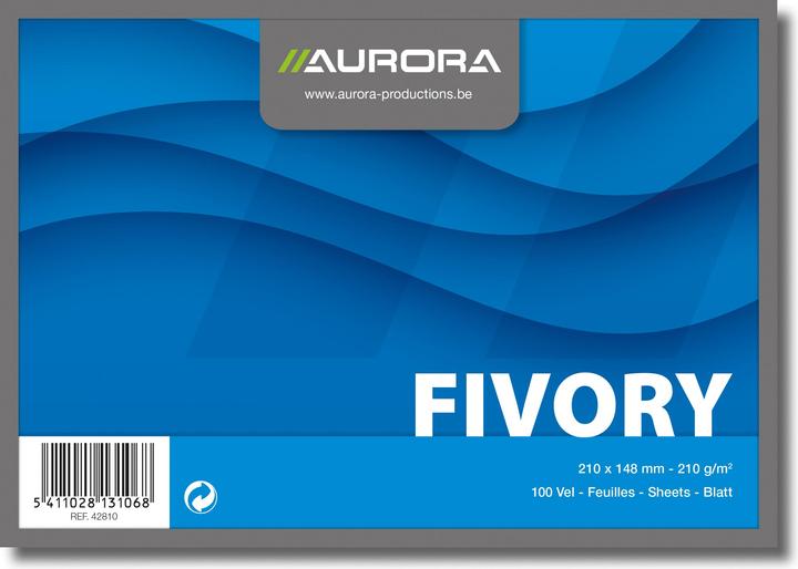 Aurora Schede di indice (A5, 205 g/m², 100 x)