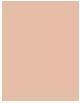 Actual product image Dermacol Hyaluronic make-up & serum (01 Pale)