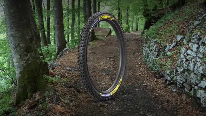 Image du produit Michelin DH 22 (29 x 2.40, 61-622)