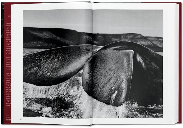 Image du produit Sebastião Salgado. Genesis (Allemand, Lélia Wanick Salgado, 2013)