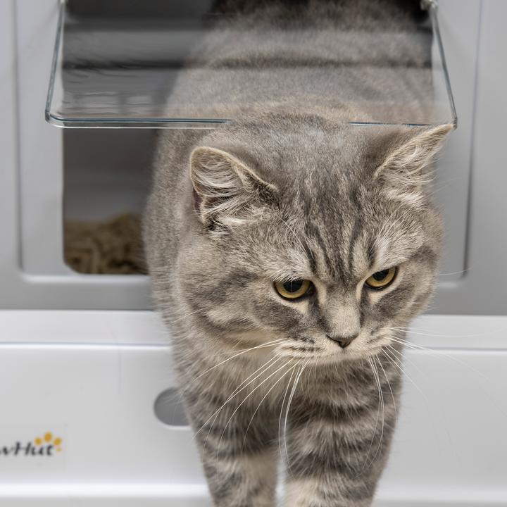 Immagine prodotto PawHut Lettiera per gatti con cassetto estraibile (Lettiera per gatti aperta)