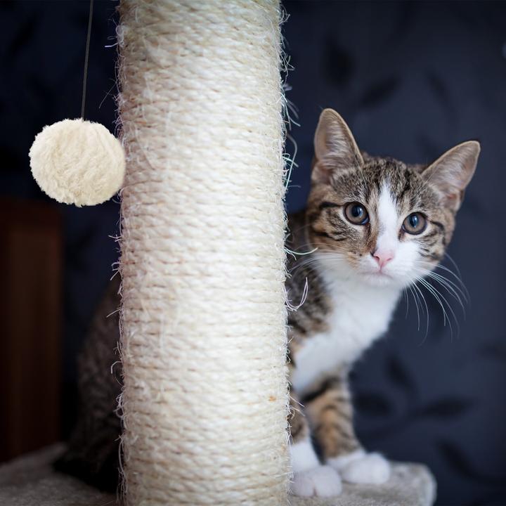 Immagine prodotto Relaxdays Colonna tiragraffi per gatti