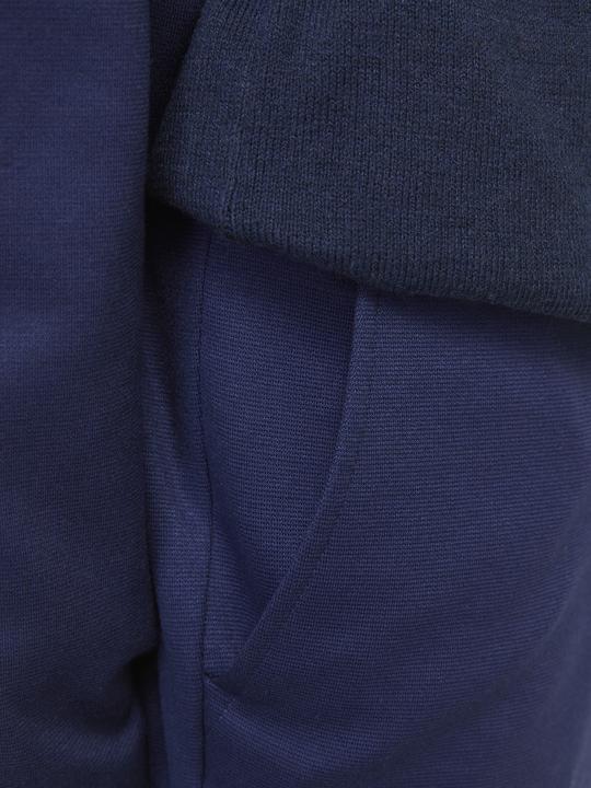 Image du produit Jack & Jones Jjejaxon Jersey Trouser Noos Jnr (170)