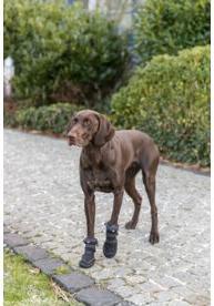 Actual product image Trixie Walker Active Long protective boots, L, 2 pcs, black (L, Dog boots)