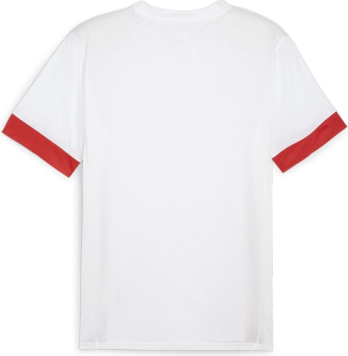 Immagine prodotto Puma Maglia da partita TeamGOAL (L)