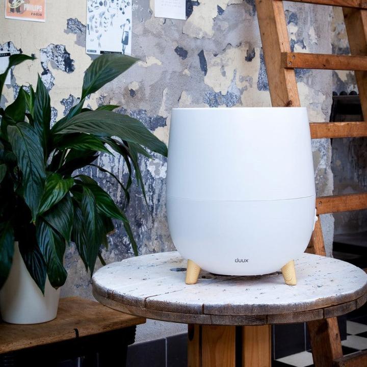Immagine prodotto Duux Ovi (30 m²)