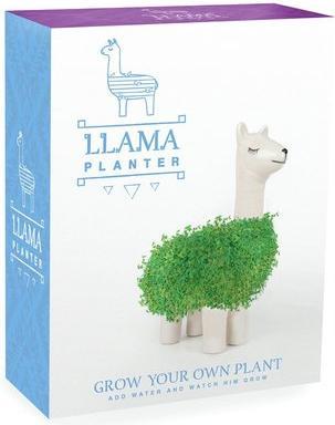 Image du produit Gift Republic Lama végétal de chia