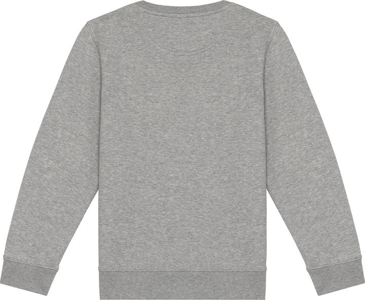 Produktbild Native Spirit Sweatshirt (122, 128, 125 B)
