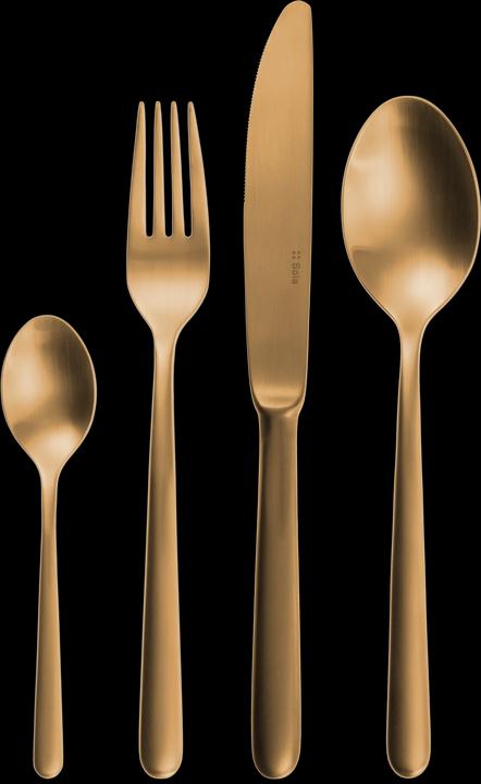 Actual product image Sola Faro (24 Piece, Cutlery set)