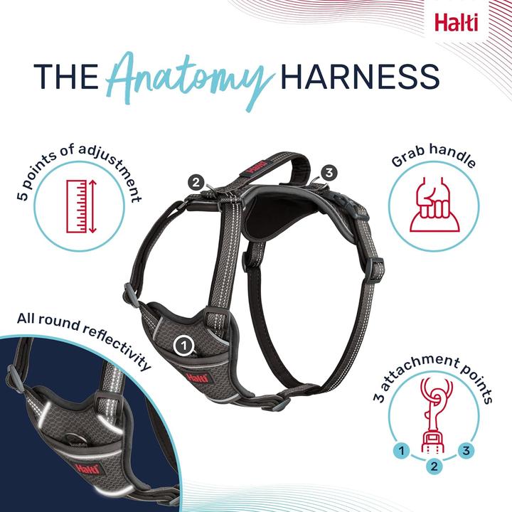 Produktbild Company of Animals Halti Anatomy L Hundegeschirr (L, Hund, Allgemein)