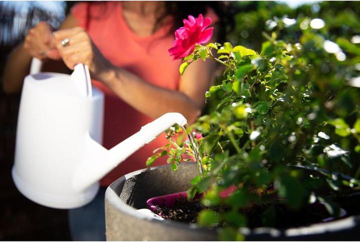 Produktbild Stöckli Zimmer (4 l)