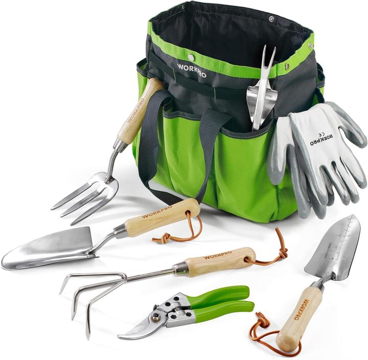 Actual product image Workpro Garden tool set