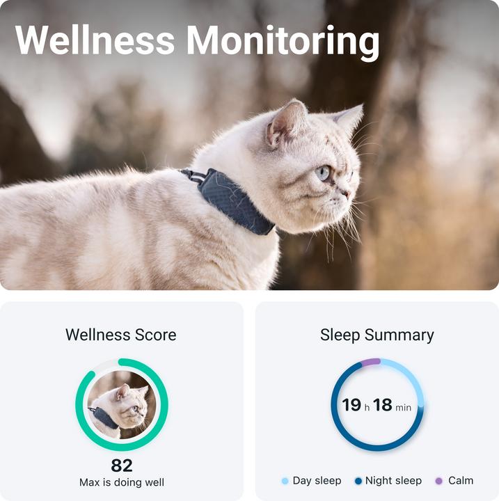 Produktbild Tractive GPS 4 GPS Tracker für Katzen (Katze)