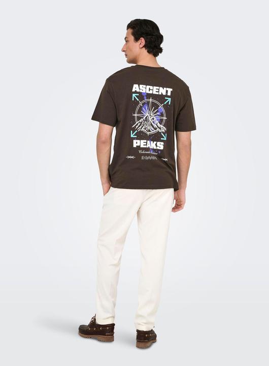 Produktbild Only & Sons Onskeane Rlx Ss Print Tee Noos (M)