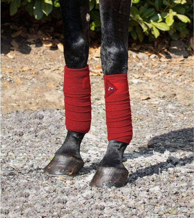 Immagine prodotto Premier Equine set di 4 bande da polo per cavalli