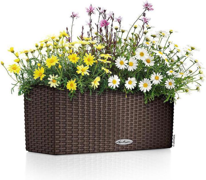 Produktbild Lechuza Balconera Cottage (19 cm)