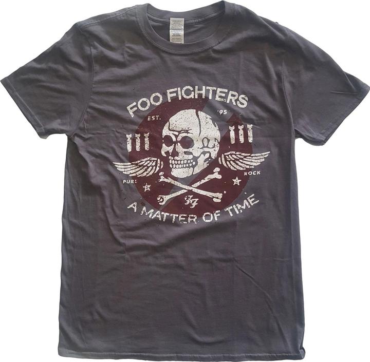 Foo Fighters Matter of Time