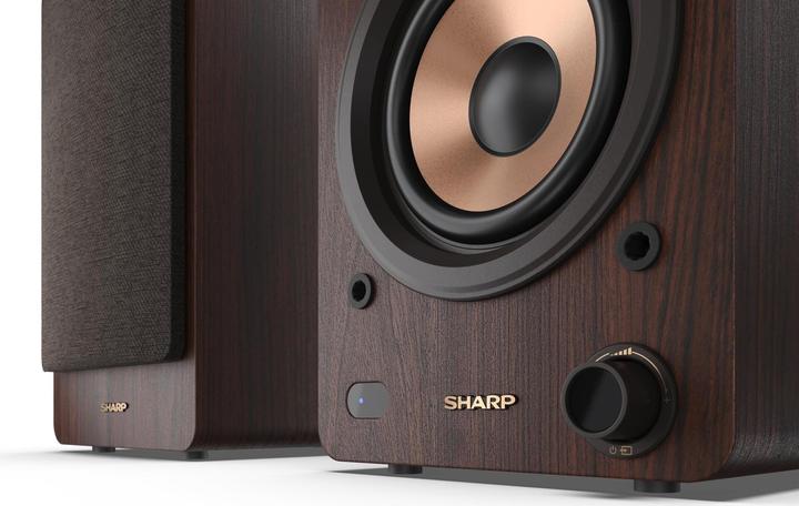Produktbild Sharp CP-SS30 (1 Paar, 60 W)