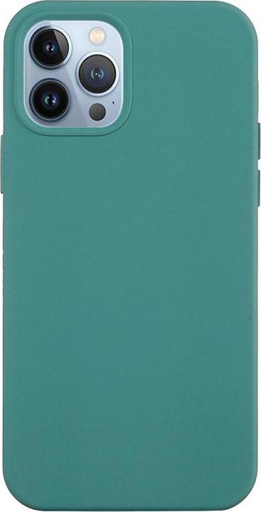 Actual product image Cover-Discount iPhone 15 Pro - Silicone Rubber Case green (Apple iPhone 15 Pro)