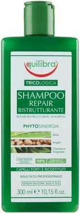 Immagine prodotto Equilibra Shampoo ristrutturante Shampoo ristrutturante 300Ml (300 ml, Shampoo liquido)