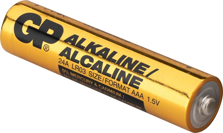 Actual product image GP Batteries GP Battery Alkaline, AAA, Micro, LR03, 1.5 V, Industrial, 10 pcs. (10 pcs., AAA)