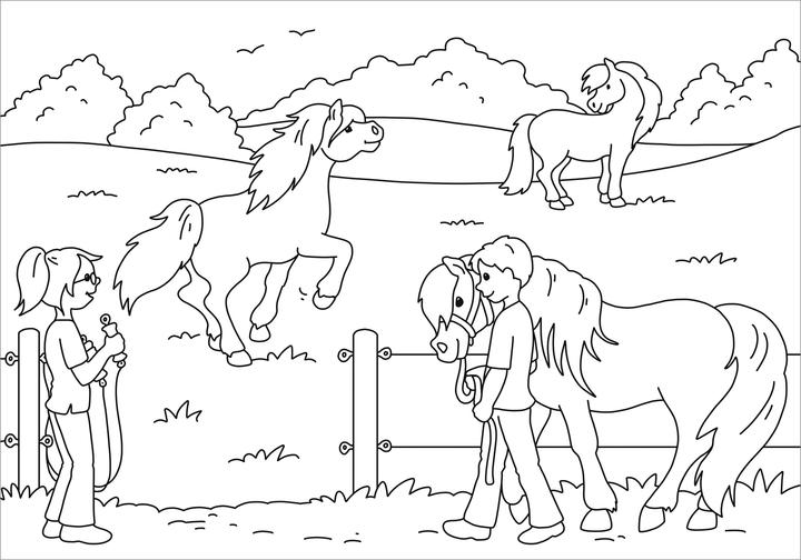 Immagine prodotto Tessloff Il mio libro da colorare più bello. Fattoria dei pony