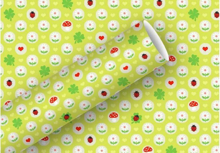 Image du produit Braun + Company Papier d'emballage 80g/m2 peu de chance (Papier cadeau, 1 x)