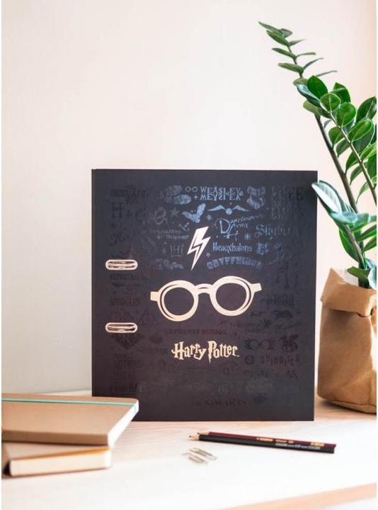 Immagine prodotto Cartella occhiali Harry Potter 28,5 cm, marrone scuro (1 Pezzo/i)