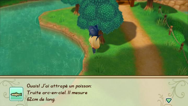 Actual product image Marvelous Story of Seasons : Friends of Mineral Town (Switch, FR)
