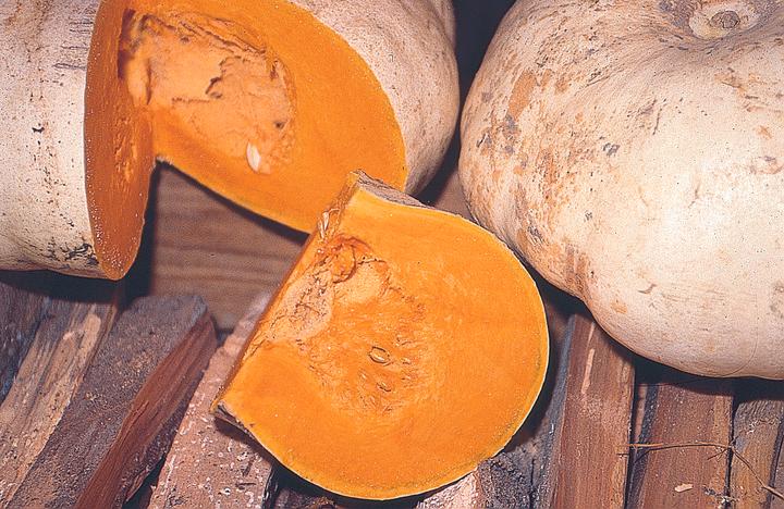 Image du produit Zollinger Bio Courge, forfait White Boer (Graines de plantes)