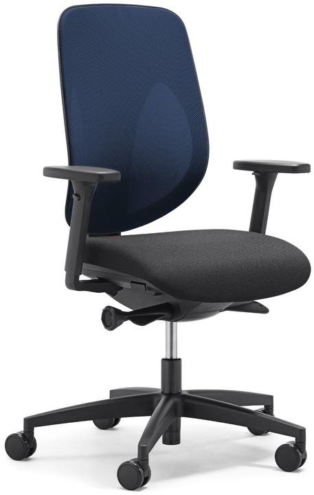 Giroflex Comfort III