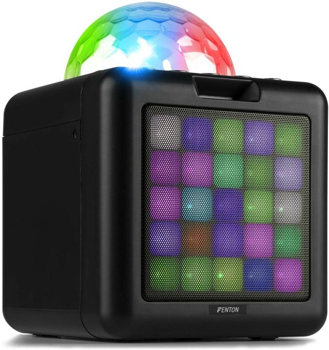 Immagine prodotto Fenton Altoparlante KAR15B con 2 microfoni (1x 15 W)