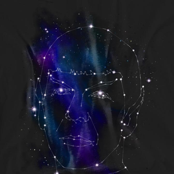Actual product image Unisex Adult Spock Constellations T-Shirt (L)