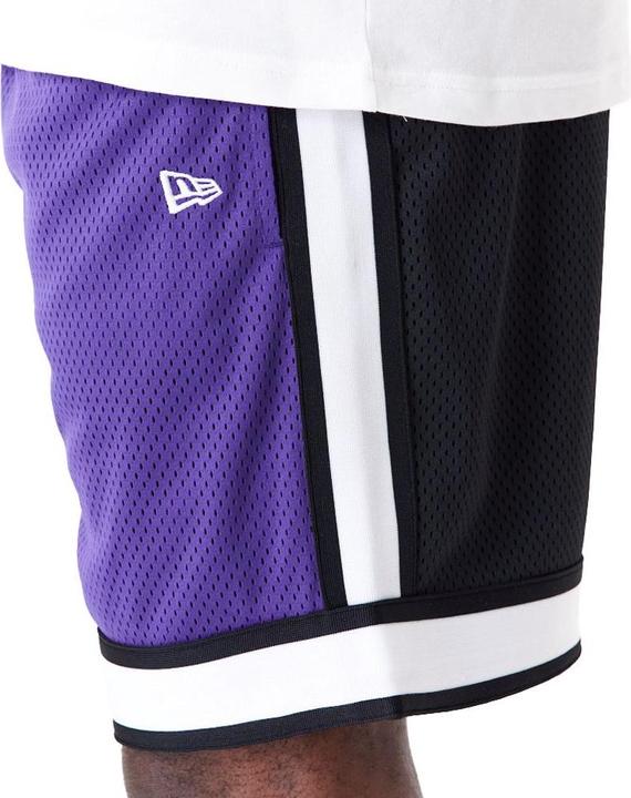 Actual product image New Era Mesh Shorts - NFL Minnesota Vikings (S)