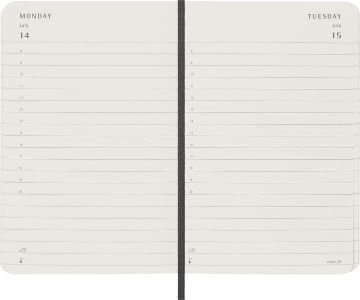 Actual product image Moleskine Daily calendar (A6, Pocket, English)