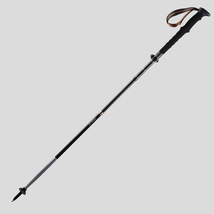Image du produit Forclaz 1 POLE DE TREKKING MT 900 172316