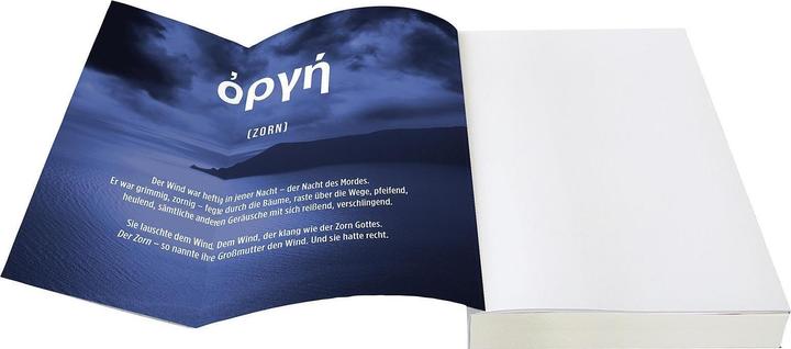 Produktbild Die Insel des Zorns (Deutsch, Alex Michaelides, 2024)