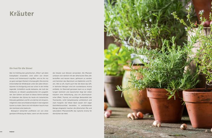 Image du produit Gemüse und Kräuter im Garten (Allemand, Dr Markus Phlippen, 2019)