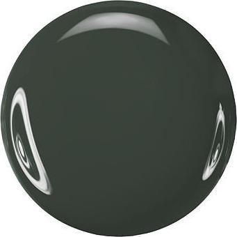 Actual product image Zoya Noot (Colour paint)