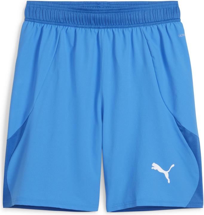 Puma teamFINAL Shorts
