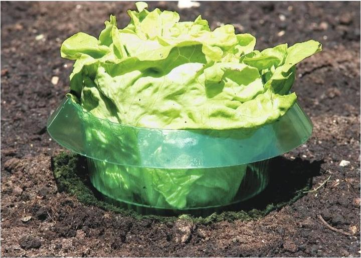 Produktbild Windhager Schnecken-Schutzring