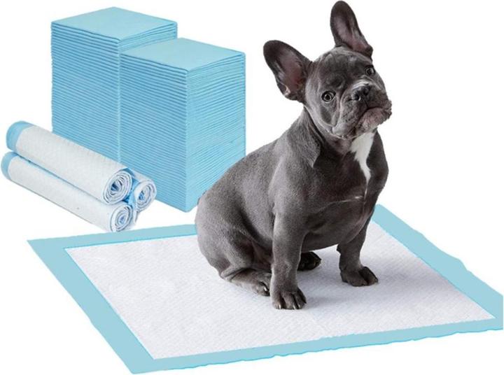 Actual product image Esmée Hygiene mat (Dog)