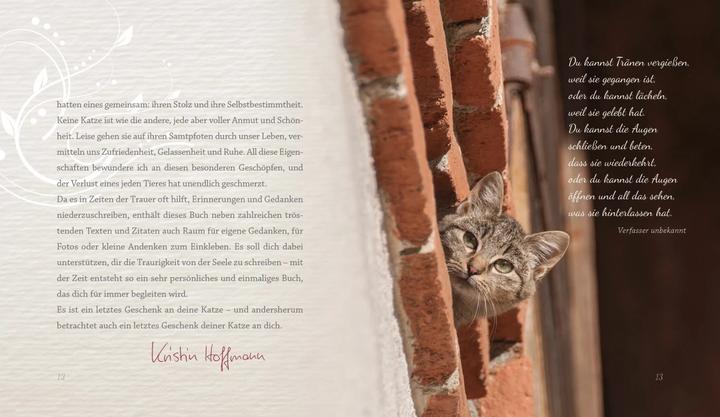 Produktbild Mehr als nur eine Katze (Deutsch, Kristin Hoffmann, 2019)