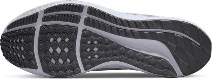 Image du produit Nike Air Zoom Pegasus 39 (42)